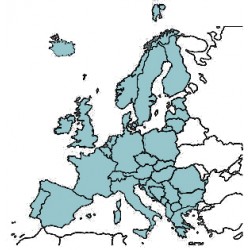 Abbonamento IFR digitale Europa completa per MFD (EUF)