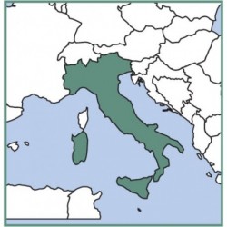 VFR Manual ITALIA/MALTA, primo abbonamento