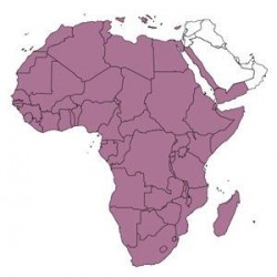 Abbonamento JeppView Africa IFR (AFR)