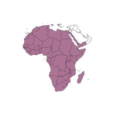 Abbonamento JeppView Africa IFR (AFR)