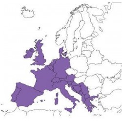 Abbonamento JeppView Europa Centrale IFR (CEN)