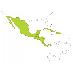 Abbonamento IFR digitale America Latina