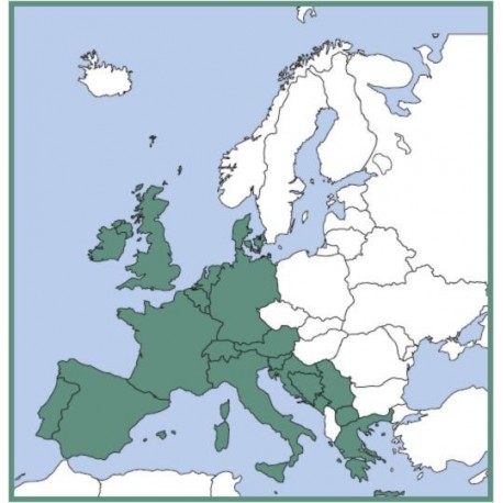 VFR Manual "ECHO" (Europa senza con UK, senza Scandinavia) primo abbonamento