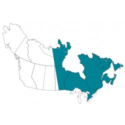 Abbonamento IFR digitale Canada Est